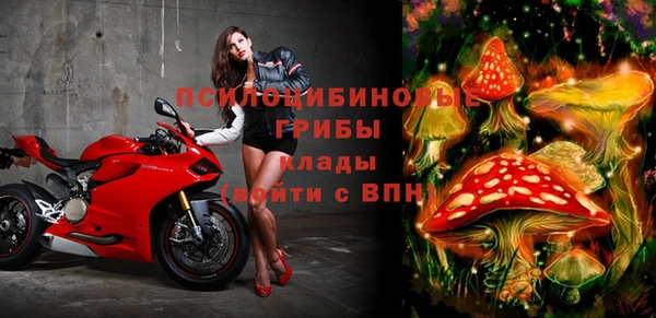 spice Киренск