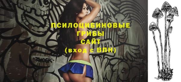 ГАЛЛЮЦИНОГЕННЫЕ ГРИБЫ Кодинск