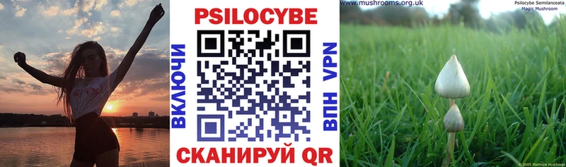 Галлюциногенные грибы Psilocybine cubensis  Киржач 